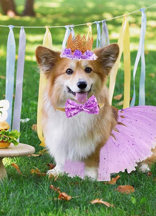BINGPET Doggy Tutu Skirt Dog Cat Birthday Party Supplies,Cat Dogs Wedding Dresses with Bowtie and Dog Party Hats Princess Crown Hat Set,Sweet Gift for Small to Medium Dogs Cat