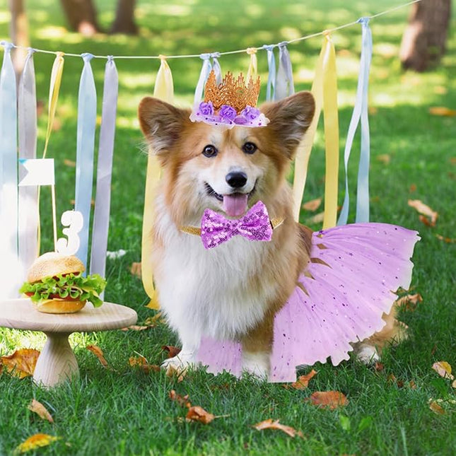 BINGPET Doggy Tutu Skirt Dog Cat Birthday Party Supplies,Cat Dogs Wedding Dresses with Bowtie and Dog Party Hats Princess Crown Hat Set,Sweet Gift for Small to Medium Dogs Cat