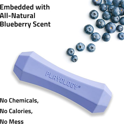 Playology Dog Toys | Durable Squeaky Chew Stick for Dogs | Jumbo Blueberry Scented Toy - Easy to Clean and Made from Non Toxic Materials