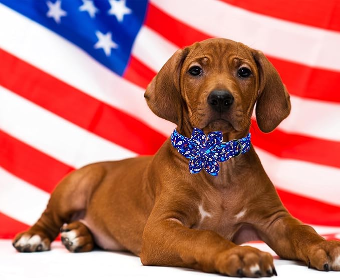 Lionheart glory American Flag Dog Collar 4 of July Dog Collars with Flower Independence Patriotic Dog Flower Collars Heavy Duty Adjustable Collar Flower for Large Dogs Pet Gift