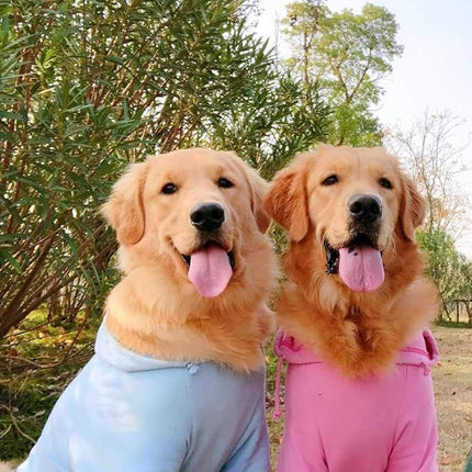 Lovelonglong Blank Basic Hoodie Sweatshirt for Dogs 100% Cotton Fits Small Medium Dachshund Large Dog Sky-Blue 4XL