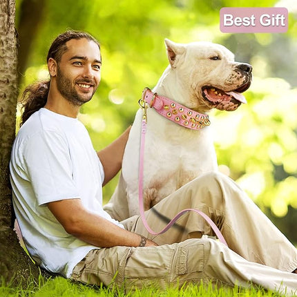 Epesiri Golden Spike Collar for Dogs, Gold Spiked Dog Collar, Durable PU Leather Studded Dog Collar with Leash, Funny Mushrooms Rivet Small Puppy Pet Cat Adjustable Collar, Pink XL