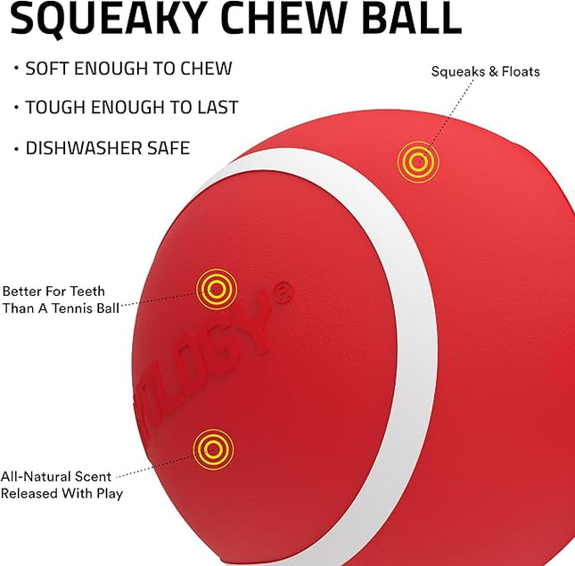 Playology Dog Toys | Squeaky Chew Ball - Bouncy Durable Floating Fetch Ball for Dogs | Jumbo Beef Scented Toy - Easy to Clean and Made from Non Toxic Materials