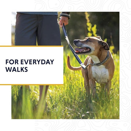 Ruffwear, Chain Reaction Dog Collar, Adjustable Reflective Martingale Escape-Proof Collar with Stainless Steel Chain, Professional Training Control, Basalt Gray, 20"-26"