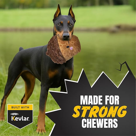 Bite Force -Durable & Strong Dog Toy Cheeky Acorn with Squeaker, Kevlar-Reinforced for Aggressive Chewers for Small Medium Large Dogs - Brown.