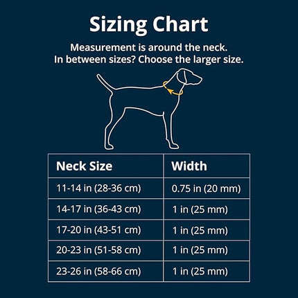 Ruffwear, Web Reaction Dog Collar, Escape-Proof Security Buckle, Adjustable Anti-Slip Martingale Collar with Durable Nylon Tubelok Webbing & Silent ID Attachment, Blue Pool, 14"-17"