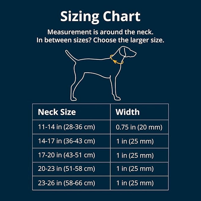 Ruffwear, Web Reaction Dog Collar, Escape-Proof Security Buckle, Adjustable Anti-Slip Martingale Collar with Durable Nylon Tubelok Webbing & Silent ID Attachment, Blue Pool, 11"-14"