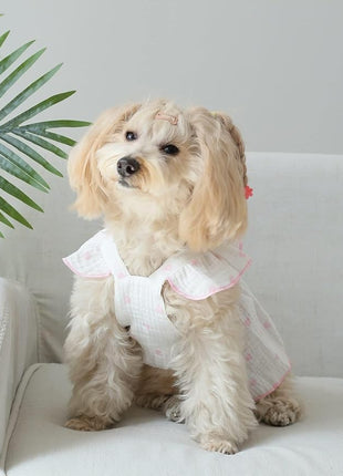 QWINEE 2 Piece Cute Heart Pattern Dog Dress Ruffle Trim Princess Dress Cat Vest Dress Lace Trim Summer Dress Pet Clothes for Small Medium Cats Dogs Kitten Puppy Multicolor A Large