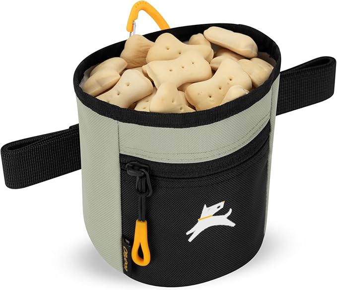 OllyDog Goodie Treat Bag, Dog Treat Pouch, Waist Belt Clip for Hands-Free Training, Magnetic Closure, Dog Training and Behavior Aids, Three Ways to Wear (Abbey Stone)