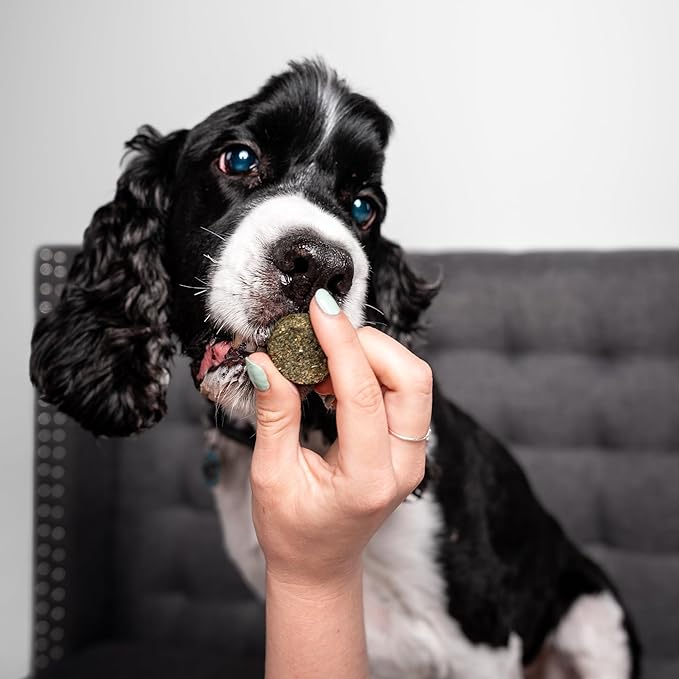 Chippin Natural Dog Treat, Spirulina, Kale Carrots, Healthy Meal Topper, Crunchy Vegan Dog Biscuit for Puppies, Seniors, Stops Grass Eating, Hypoallergenic, Gift, Sustainable Product