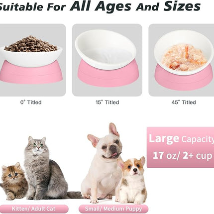 Cat Bowls Elevated Cat Food Bowl Adjustable Cat Dish Anti-Slip and Anti-Noise Raised Cat Bowl Protecting Pet’s Spine Thickened Plastic Bowl Suitable for Indoor Cats, 17 Oz