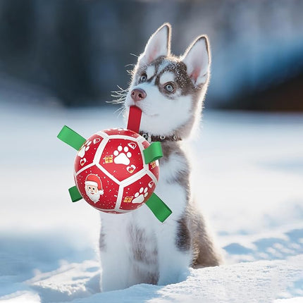 QDAN Small Christmas Dog Toys, Soccer Ball with Straps, Outdoor Interactive Toys for Tug of War, Puppy Birthday Gifts, Water Toy, Durable Dog Balls for Puppy (5 Inch)