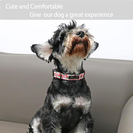 ARING PET Summer Dog Collar-Cute Watermelon Dog Collar for Small Dogs, Adjustable Soft Cotton Girl Dog Collars for Small Medium Large Dogs, X-Small