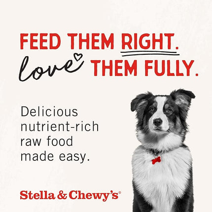 Stella & Chewy's Freeze-Dried Raw Chicken Heart Dog Treats - Single Ingredient, No Additives - Premium Training Treats - Perfect For Picky Eaters - 11oz Bag