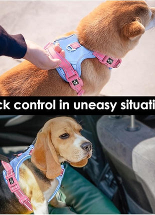 PHOEPET No Pull Dog Harness, Unique Colors Reflective Adjustable Dog Vest, with Soft Training Handle Metal Clips for Small Medium Large Dogs (Baby Blue Base & Pink Straps,L)