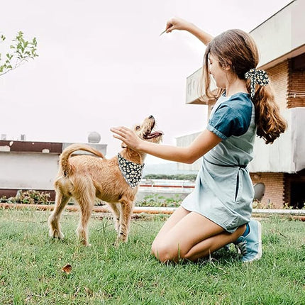 E-Clover Dog Bandanas & Matching Scrunchie Set Girl Dog Scarf Bibs with Bow Scrunchie for Small Dogs Puppy Pet Owner Gifts Flower Black
