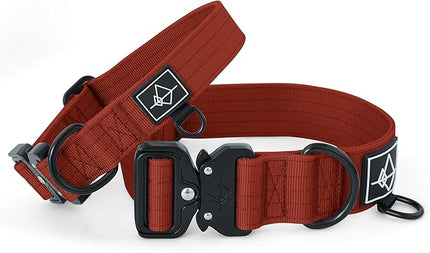 Made to ROAM Premium Dog Collar - Adjustable Heavy Duty Nylon Collar with Quick-Release Metal Buckle (Texas Flair, Classic Size 1)