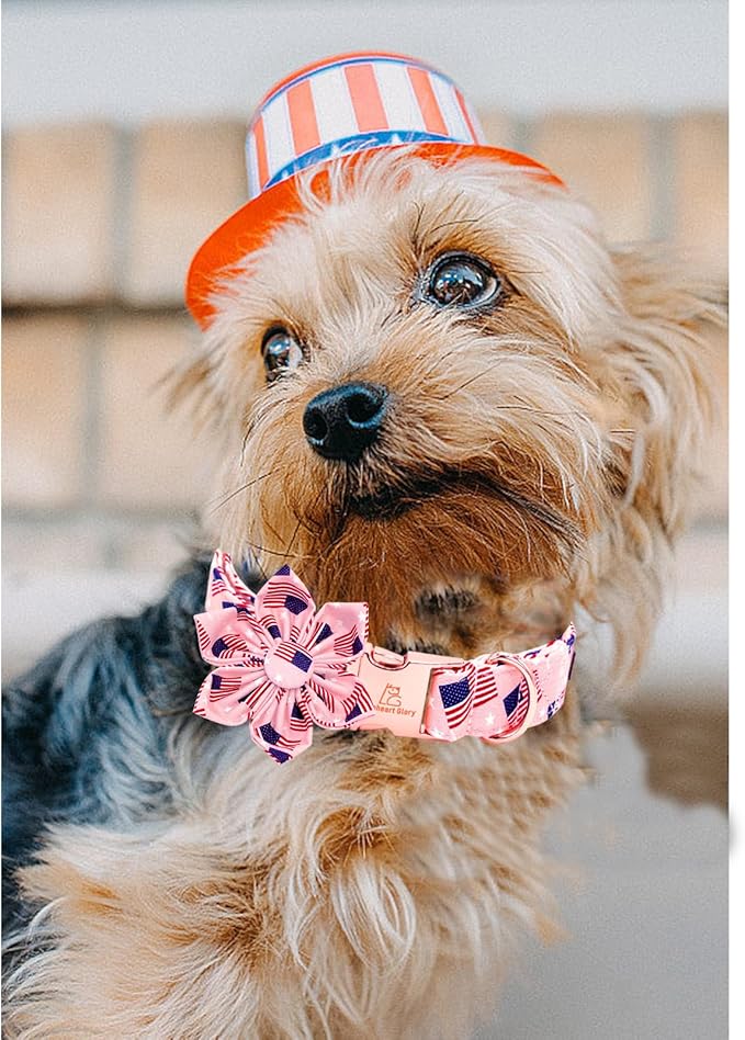 Lionheart glory American Flag Dog Collar 4 of July Dog Collars with Flower Independence Patriotic Dog Flower Collars Heavy Duty Adjustable Collar Flower for Large Dogs Pet Gift