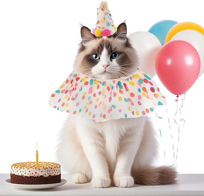Cat Costume, Cat Birthday Bandana Scarf and Party Hat, Dog Birthday Decorations Set, Pet Outfit for Birthday Party Christmas, Large