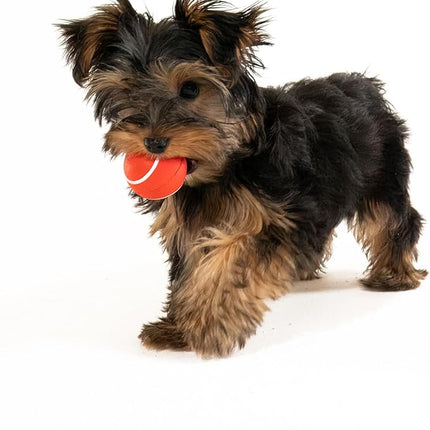 Playology Dog Toys | Squeaky Chew Ball - Bouncy Durable Floating Fetch Ball for Dogs, Value 3-Pack | Small Beef Scented Toy - Easy to Clean and Made from Non Toxic Materials