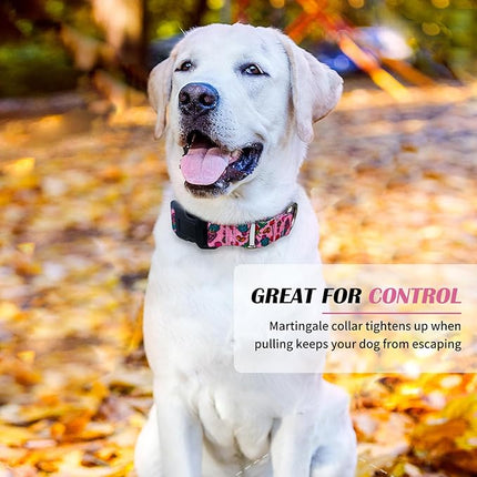 Hikiko Summer Dog Collar for Small Medium Large Dogs, Adjustable Nylon Fruit Pattern Martingale Collars with Quick Release Buckle (Pink Strawberry,S)