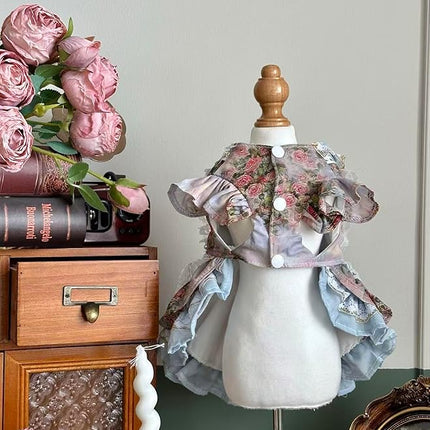 Fashion Sweet Puppy Dog Lace Princess Dress for EXTRAL Small and Small Dog C-Blue Large