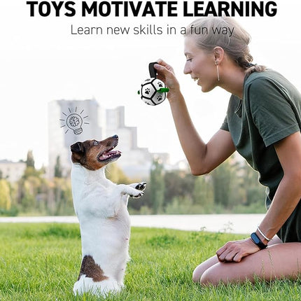 QDAN Small Dog Toys, Puppy Balls, Dog Balls with Straps for Small Breed, Soccer Ball for Dogs, Puppy Toys, Dog Birthday Gift (Black Green, 3.5 inch)