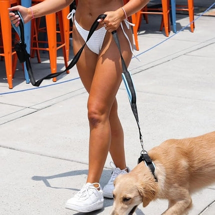 Black Rhino - The Comfort Collar Ultra Soft Neoprene Padded Dog Collar for All Breeds, Dog Collars for Large Dogs - Heavy Duty Adjustable Reflective Weatherproof (XLarge, Blue/Grey)