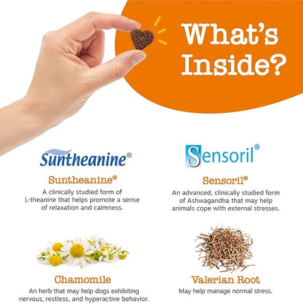 Zesty Paws Calming Chews for Dogs - for Everyday Stress, Relaxation, Composure, and Separation Turkey 90 Count