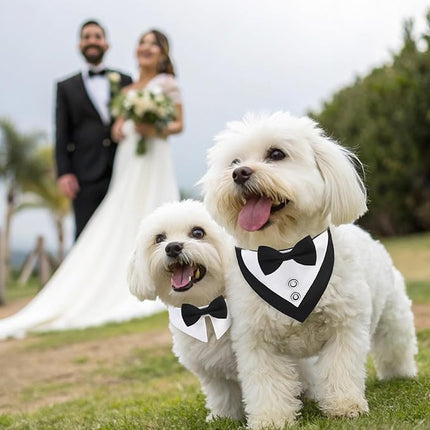 EXPAWLORER Dog Collar and Leash Set - Dog Tuxedo Wedding Outfit Puppy Collar with Suit and Tie, Cute Ring Bearer in Tux Bow and Bandana Design, Proposal Costume for Small Pets