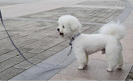 Roses&Poetry Dog Collar and Leash for Extra Small,Adjustable Durable 5ft Puppy Leash Collar for Dog Training Lead（Black & White-XS）