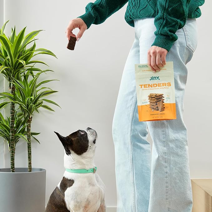 Jinx Tenders Salmon Jerky Dog Treats, All-Natural Ingredients, Soft and Chewy, Low-Calorie, Slow-Smoked Salmon & Pumpkin, No Fillers, 5oz
