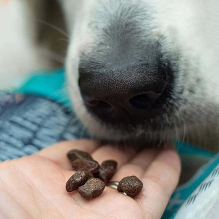 SKIPPER'S Fish Training Treats for Dogs - 80% Steamed Salmon & Trout, Grain Free Puppy Training Treats, All Natural Ingredients No Additives, Good for Digestion, Rich in Omega 3 | 3.5 Oz