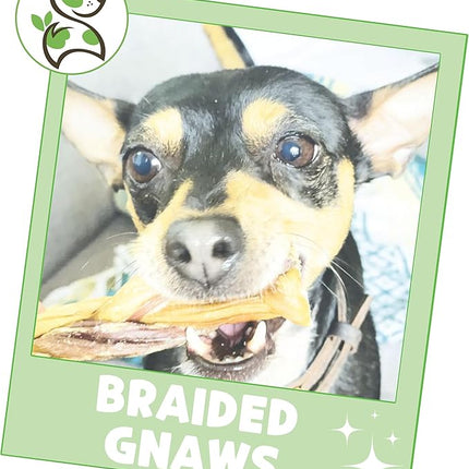 Nature Gnaws Braided Gnaws for Dogs 5-6" (3 Count) - Long Lasting for Small and Medium Dogs - Natural Beef Bully Stick Combo Braids - Rawhide Free