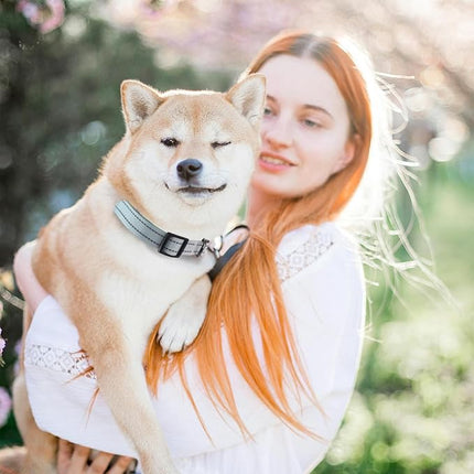 Roses&Poetry Dog Collars for Medium Dogs, Adjustable Durable Pet Collars for Small Medium Large Dogs (Teal-M)