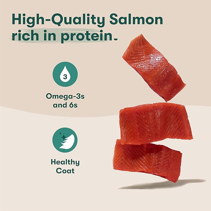 Jinx Salmon Grain Free Wet Dog Food Toppers, Meal or Mix with Dry Dog Food, Made with Real Salmon & Chicken, Bone Broth, No Fillers, Puppy, Adult, Senior, 3oz, 8 Pack