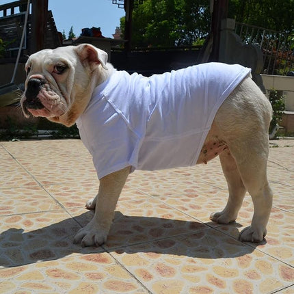 Lovelonglong Bulldog Clothes Dog Clothing Blank T-Shirt Tee Shirts for French Bulldog English Bulldog American Pit Bull Pugs 100% Cotton Skin Care White B-XL