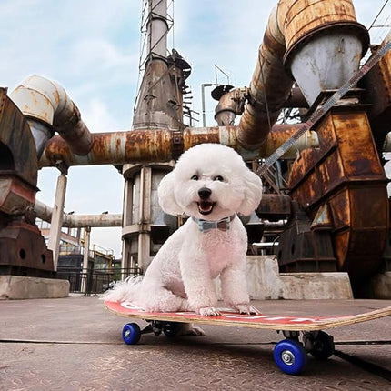 EXPAWLORER Dog Leash and Collar Set - Cute Plaid Dog Bow Tie and Dog Bandana Collar, Dog Leash Tangle Free, Adjustable Collars for Small Medium Large Dogs, Holiday Ideal Gift, Blue M