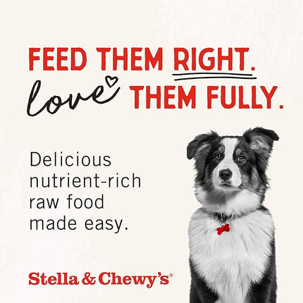 Stella & Chewy's Freeze-Dried Raw Chicken Breast Dog Treats - Single Ingredient, No Additives - Premium Training Treats - Perfect For Picky Eaters - 2.75oz Bag