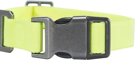 Carhartt Nylon Duck Dog Collar, Fully Adjustable Durable 2-Ply Cordura Nylon Canvas Collars for Dogs, Brite Lime, Medium