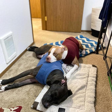 Gooby Stretch Fleece Vest Dog Sweater - Burgundy, 5X-Large - Warm Pullover Super Stretchy Fleece Dog Jacket for Small to Large Dogs