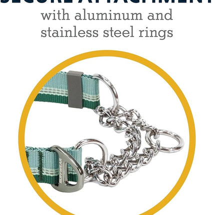 Ruffwear, Chain Reaction Dog Collar, Adjustable Reflective Martingale Escape-Proof Collar with Stainless Steel Chain, Professional Training Control, River Rock Green, 20"-26"