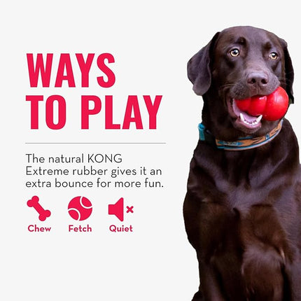 KONG Extreme Ball with Hole - Fetch Toy - Durable Dog Toy for Training, Interactive Playtime & More - Natural KONG Extreme Rubber Ball - Black - For Small Dogs