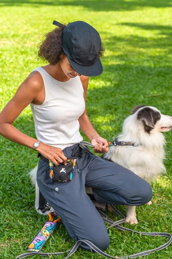 OllyDog Goodie Treat Bag, Dog Treat Pouch, Waist Belt Clip for Hands-Free Training, Magnetic Closure, Dog Training and Behavior Aids, Three Ways to Wear (Cloud9)