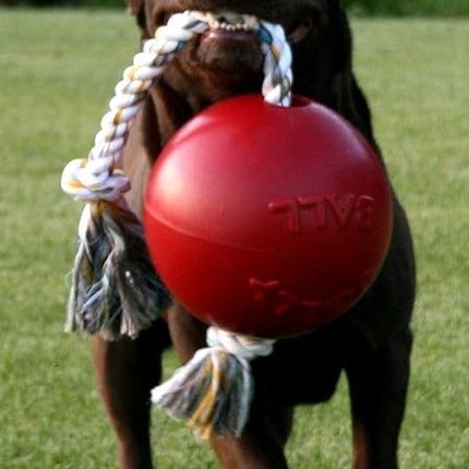Jolly Pets Romp-n-Roll Rope and Ball Dog Toy, 8 Inches/Large, Orange