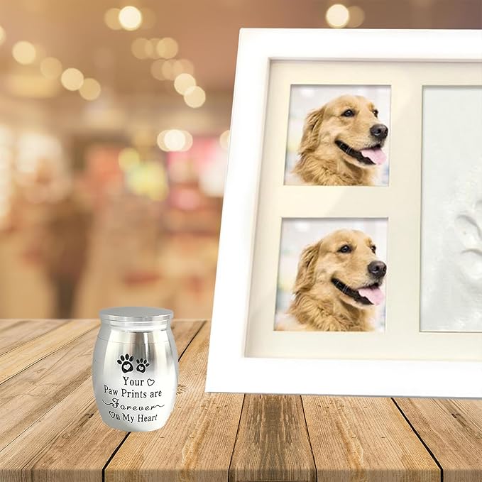 Small Pet Urns for Dogs Ashes Mini Urn Dog Ashes Cremation Keepsake Pet Memorial Urns Gift，Silver