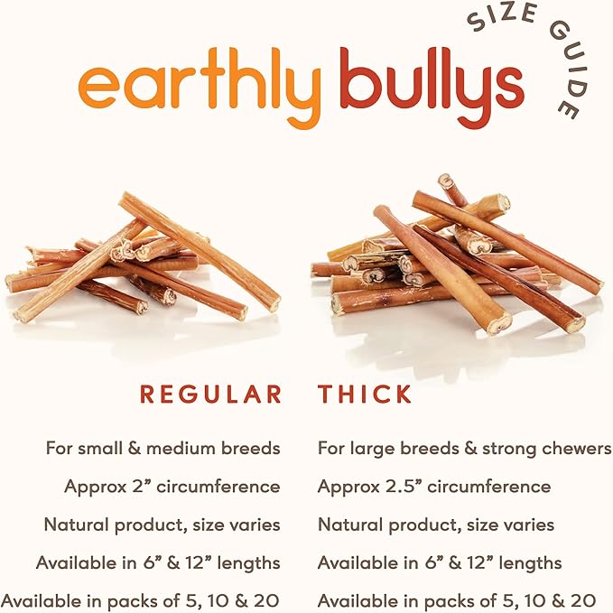 Earthly Maplewood Smoked Large Bully Sticks - Large Dog Chews, Thick Sticks - Grass Fed, All Natural, Made in Canada (12-inch, 10 Pack)