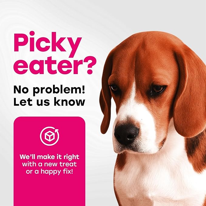 24-in-1 Complete Multivitamin Treats for Dogs - PhD Endorsed 8 Vitamins, Biotin, Probiotics, Glucosamine - Daily Wellness, Immunity, Skin & Coat, Mobility 140 Treats - Beef Flavor - Made in USA