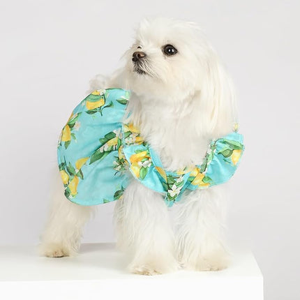 Fitwarm Lemon Dog Dress, Dog Clothes for Small Dogs Girl, Pet Cat Apparel, Teal Blue, Yellow, Green, XS