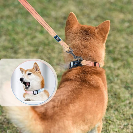 Roses&Poetry Personalized Samll Dog Collar and Leash Set, Puppy Reflective Dog Collars and Leashes with Gradient Azure, Adjustable Durable Pet Collars Leash for Small Dogs （Azure-S